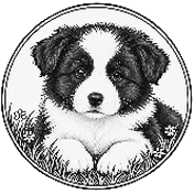 Cachorro sentado entre la hierba