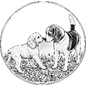 Dos perros oliéndose al saludarse