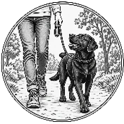 Perro paseando con correa junto a su persona